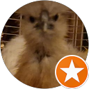 John Hofman profielfoto